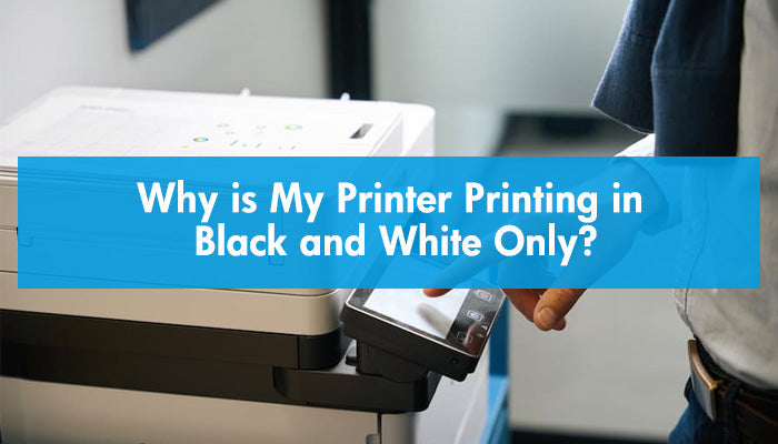 Why is My Printer Printing in Black and White Only?